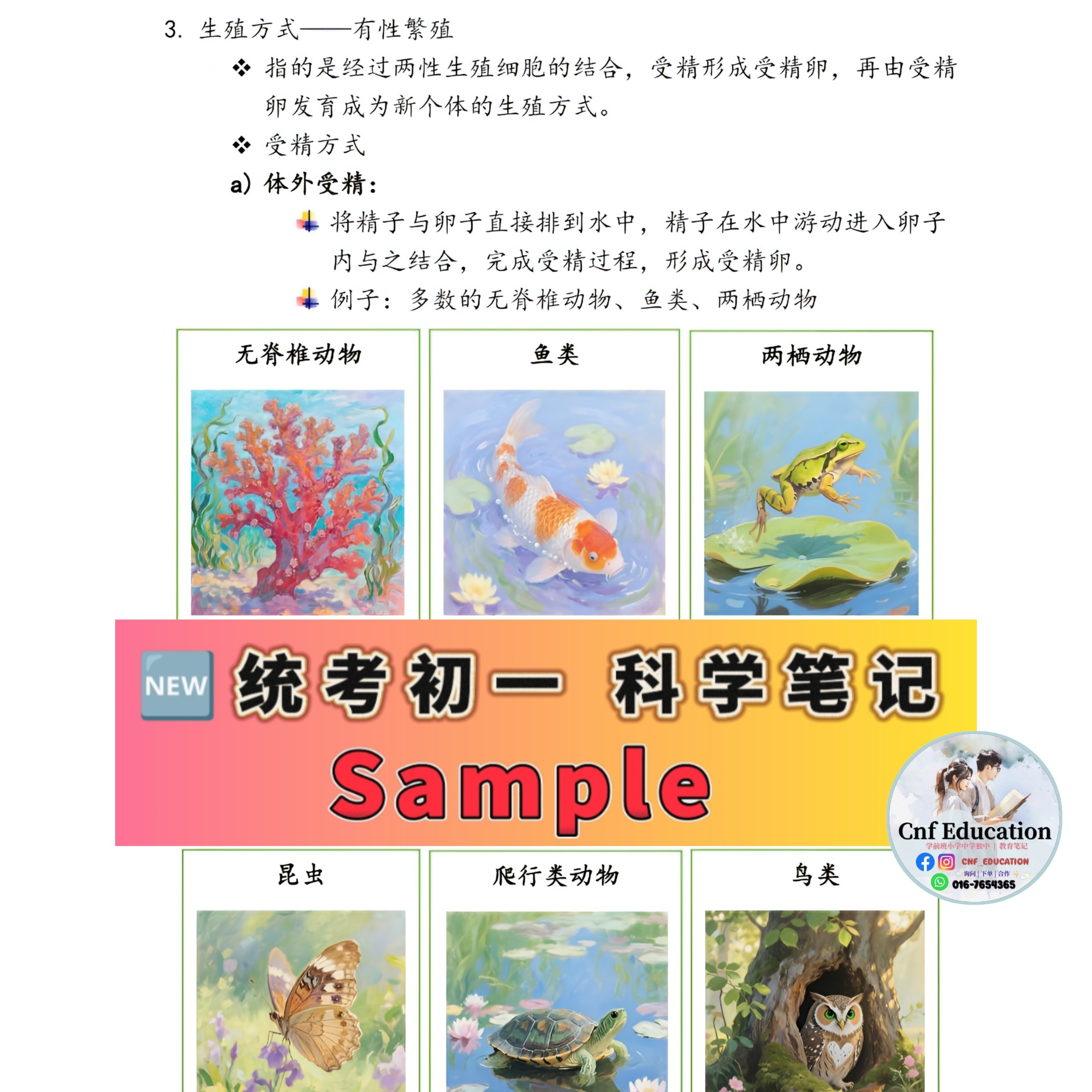 YC03 统考UEC中文版 | 初一科学笔记 (上下两册)