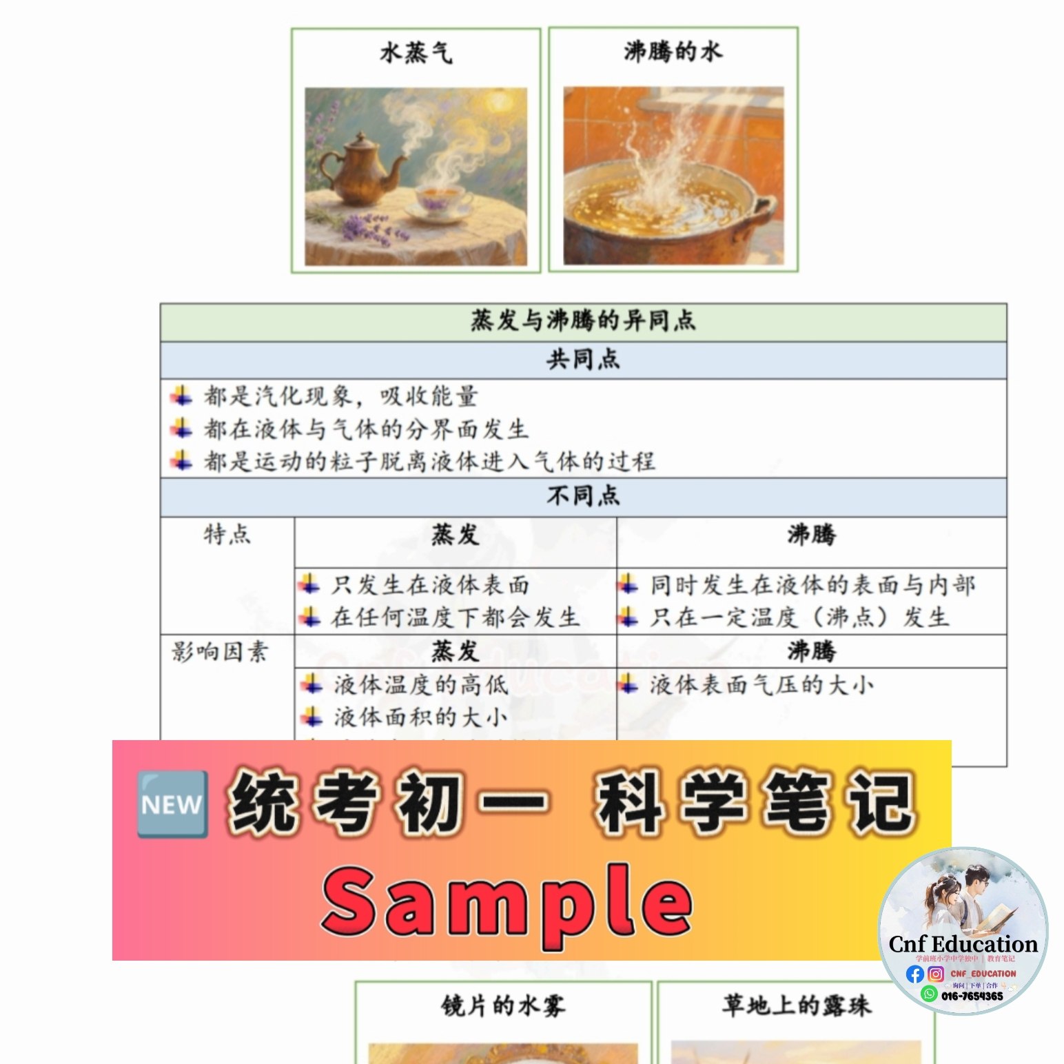 YC03 统考UEC中文版 | 初一科学笔记 (上下两册)