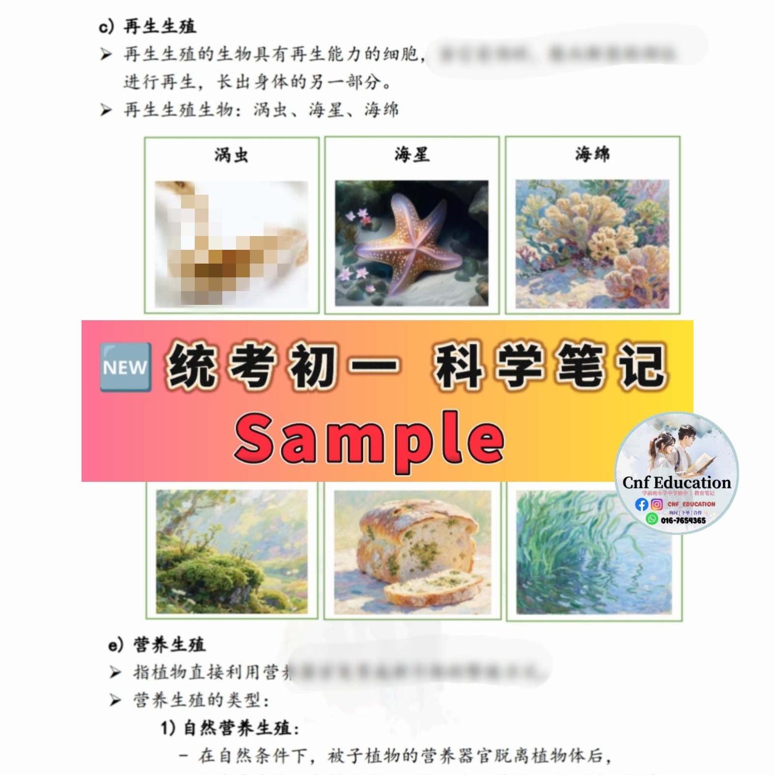 YC03 统考UEC中文版 | 初一科学笔记 (上下两册)