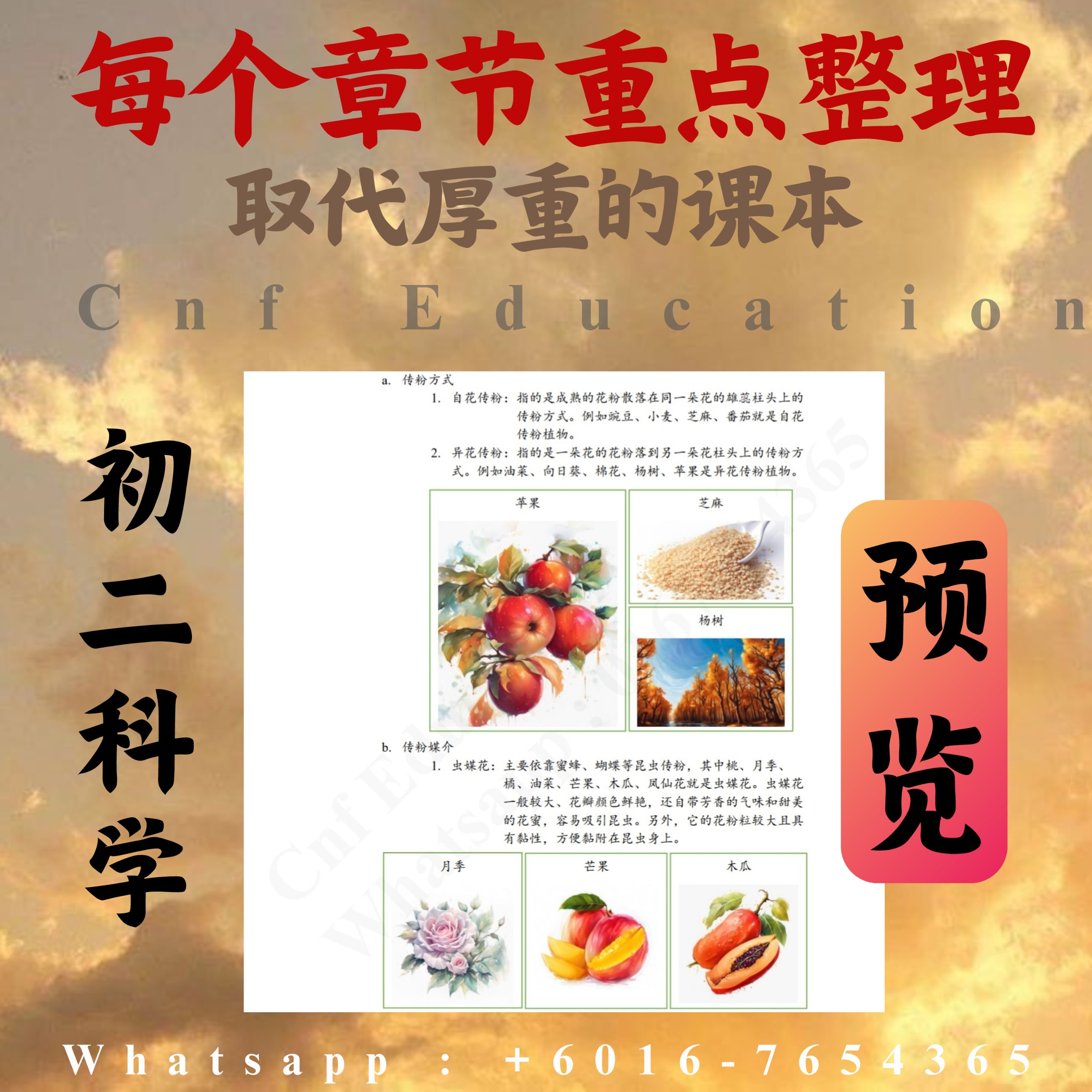 YC03 统考UEC中文版 | 初二科学笔记 (上下两册)