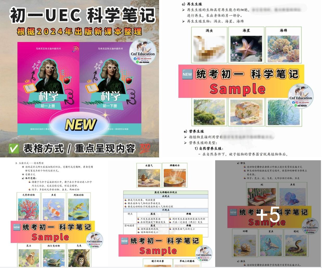 YC03 统考UEC中文版 | 初一科学笔记 (上下两册)