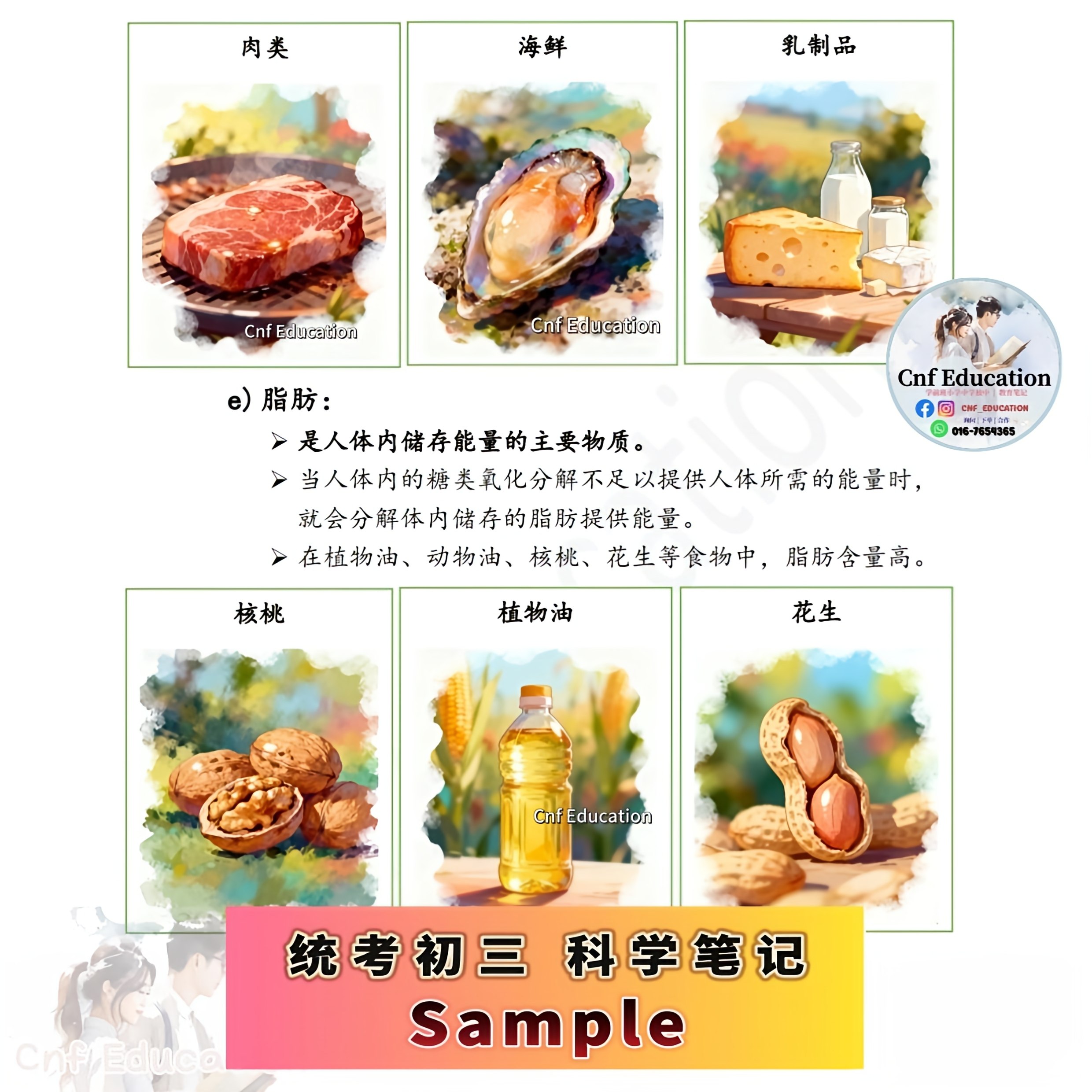 YC03 统考UEC中文版 | 初三科学笔记 (上下两册)