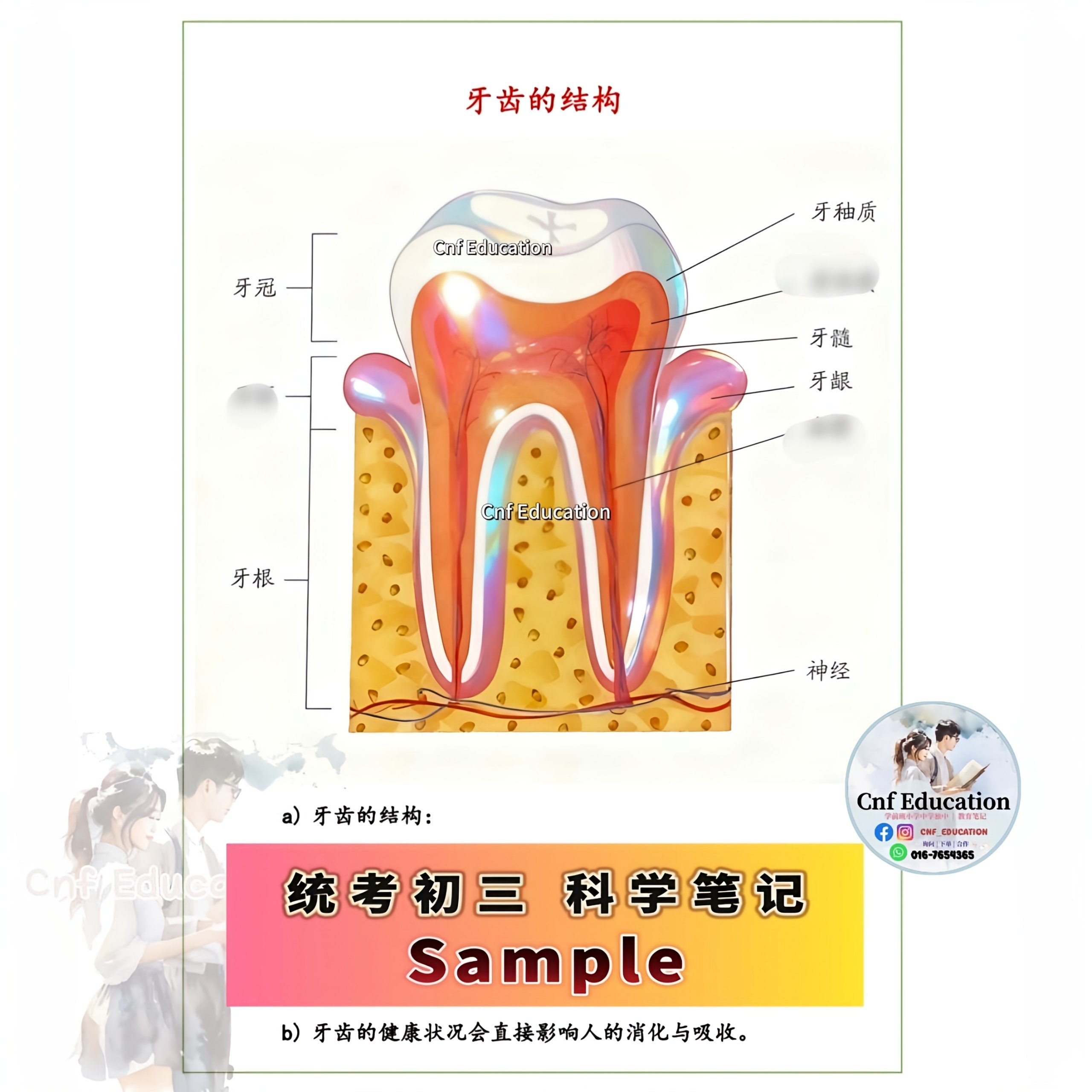 YC03 统考UEC中文版 | 初三科学笔记 (上下两册)
